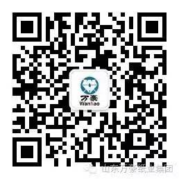山东万豪投资控股集团有限九游网页版登录入口-九游（中国）