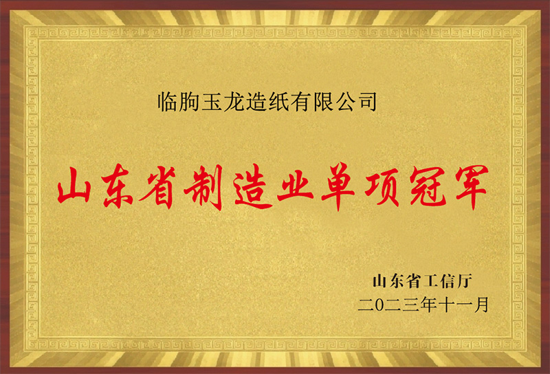 山东省制造业单项冠军（临朐玉龙造纸有限九游网页版登录入口-九游（中国））
